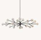 72 Inch Crystal Arm Oval Chandelier – Boule